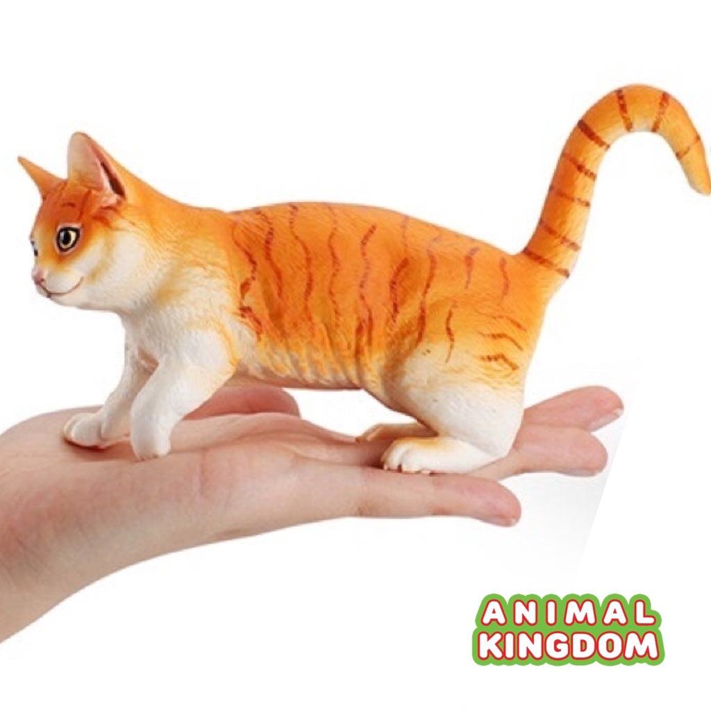 animal-kingdom-โมเดลสัตว์-แมว-ทอง-ขนาด-17-50-cm-จากหาดใหญ่