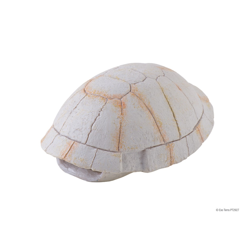 exo-terra-tortoise-skeleton-secure-hiding-place-ที่ซ่อนตัวทรงกระดองเต่า