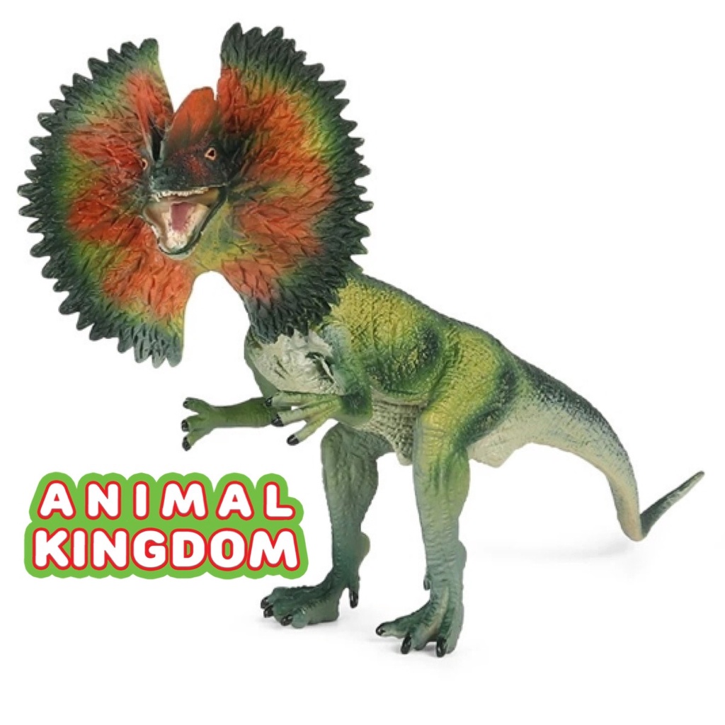 animal-kingdom-โมเดลไดโนเสาร์-dilophosaurus-เขียว-ขนาด-19-00-cm-จากหาดใหญ่