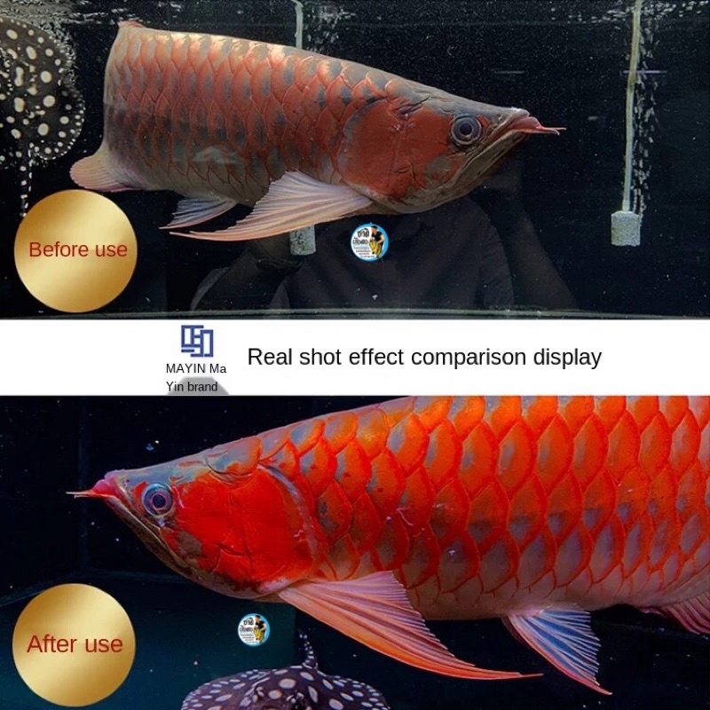 mayin-arowana-หลอดไฟสำหรับปลามังกร-ใช้ได้ทั้งมังกรทองและมังกรแดงขับสีปลาชัดขึ้น-my-112-my-142-my-172