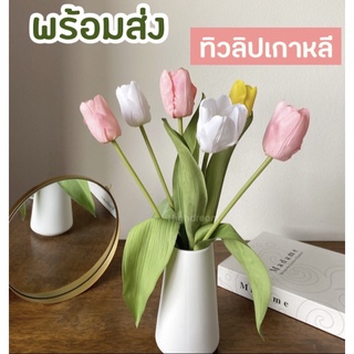 ภาพหน้าปกสินค้าพร้อมส่ง❤️ ดอกทิวลิป (รุ่นใหม่) ดอกทิวลิปเกาหลี ทิวลิปปลอม ของแต่งบ้าน ตกแต่งบ้าน ดอกไม้ประดิษฐ์ เกาหลี มินิมอล ที่เกี่ยวข้อง
