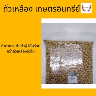 ถั่วเหลืองออร์แกนิค ถั่วเหลืองดิบ Organic Soybean 500g ถั่วเหลือง