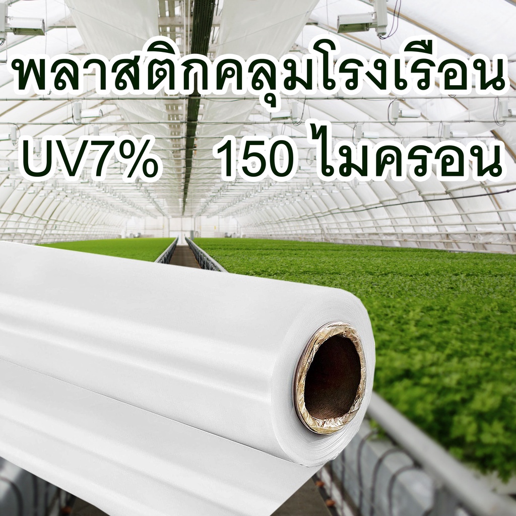 พลาสติกคลุมโรงเรือน-uv7-หนา-150-ไมครอน-หน้ากว้าง-3-6m-แบ่งขายเป็นเมตร