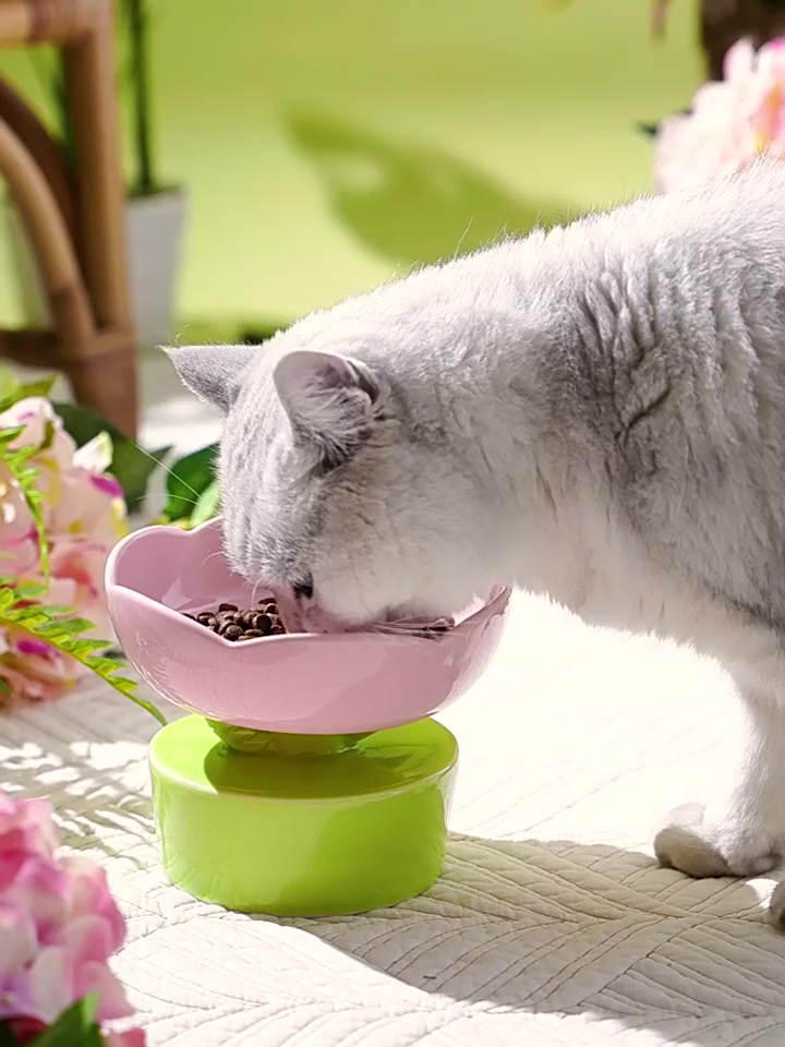 carlosa-ชามอาหารแมว-เซรามิค-รูปดอกไม้-น่ารัก-ขนาดใหญ่-ชามอาหารสัตว์เลี้ยง-สำหรับสัตว์เลี้ยง