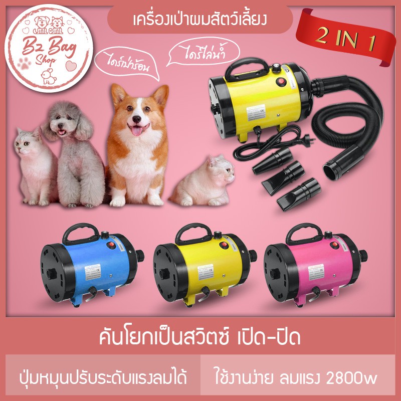 ภาพหน้าปกสินค้าไดร์เป่าขนสุนัข 2600W รุ่นใหม่ ไดร์ขนสุนัข ไดร์เป่าขนแมว เครื่องเป่าขน ไดร์ไล่น้ำ ไดร์ขนสุนัข สินค้าพร้อมส่งในไทย จากร้าน j858420038 บน Shopee