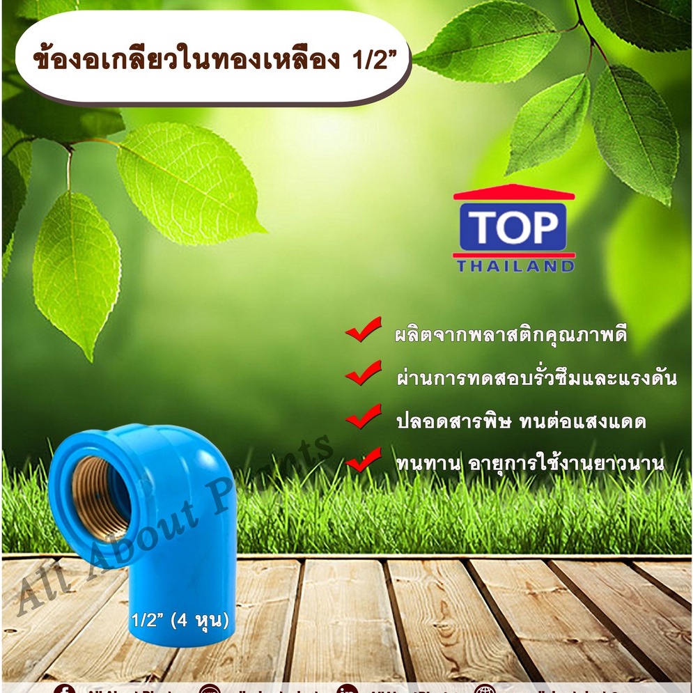 ข้องอเกลียวในทองเหลือง-1-2-ข้องอ-90-องศา-ข้องอเกลียวในทองเหลือง-เกลียวในทองเหลือง-ข้องอ1-2-นิ้ว-4-หุน-allaboutplants