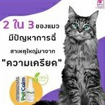 pet-calm-ผลิตภัณฑ์จากธรรมชาติช่วยให้สัตว์เลี้ยงสงบและผ่อนคลาย-ลดความเครียด