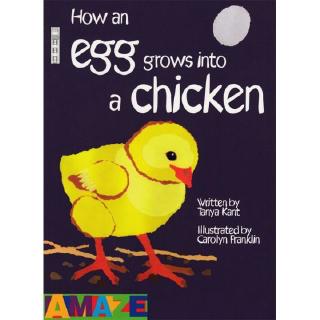 DKTODAY หนังสือ AMAZE :HOW AN EGG GROWS INTO A CHICKEN