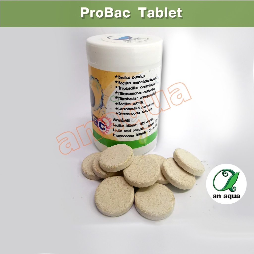 probac-แบคทีเรียอัดเม็ด-ลดของเสียในตู้ปลา
