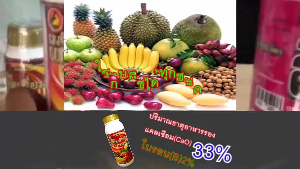 เมจิก-แคลเซียม-โบรอน-calcium-33-boron-2-ความเข้มข้นสูง-ขนาด-1-ลิตร