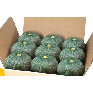 สินค้า ผักสด-ฝักทองญี่ปุ่น ส่งไว Japanese Pumpkins  小南瓜