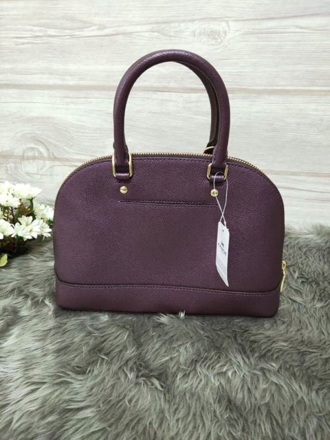 กระเป๋า-coach-mini-sierra-satchel-coach-f29170