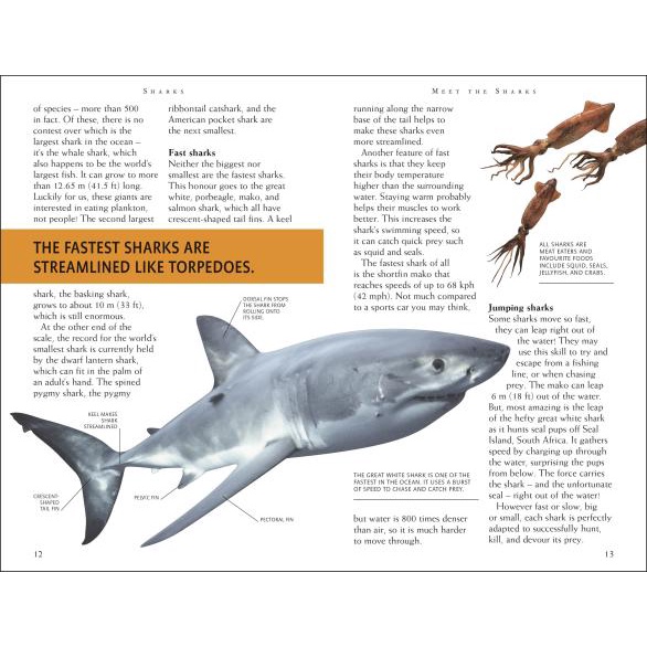 dktoday-หนังสือ-mega-bites-sharks-dorling-kindersley-dk