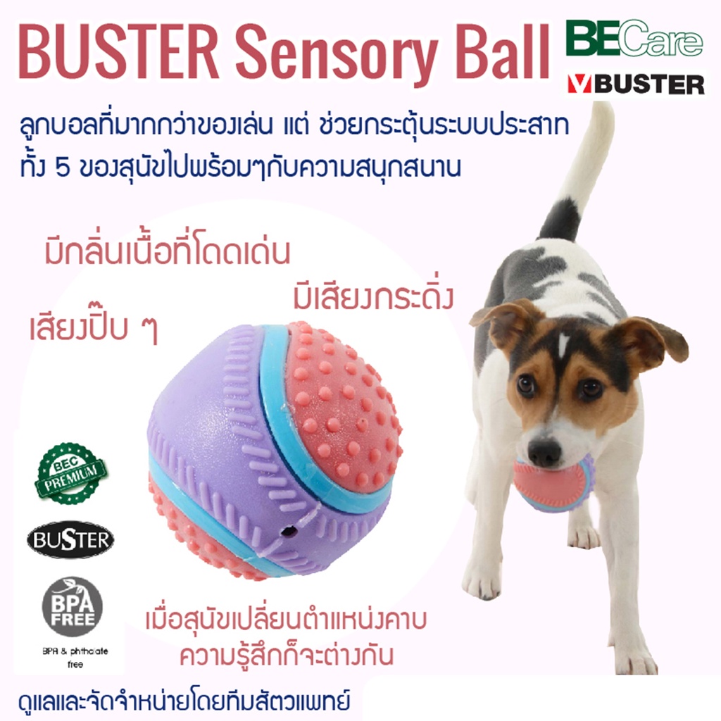 buster-sensory-ball-ของเล่นสุนัขช่วยกระตุ้นระบบประสาททั้ง-5-ของสุนัขไปพร้อมๆกับความสนุกสนาน-นำเข้าจากประเทศเดนมาร์ก