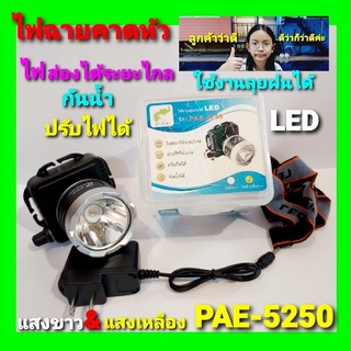 cholly.shop ไฟฉายคาดหัว แสงขาว PAE-5250 LEDไฟฉายคาดศรีษะ ไฟส่องกบ แบตลิเทียม สวิตช์แบบหมุน