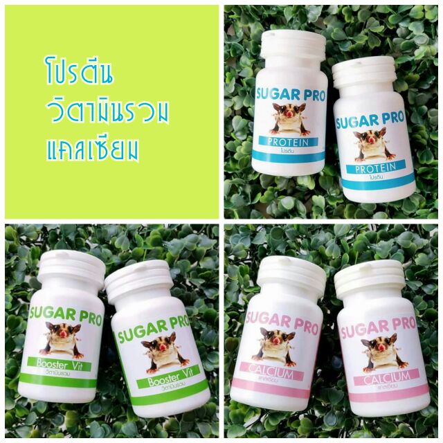 วิตามิน-แคลเซียม-โปรตีน-sugar-pro-สำหรับสัตว์เลี้ยง