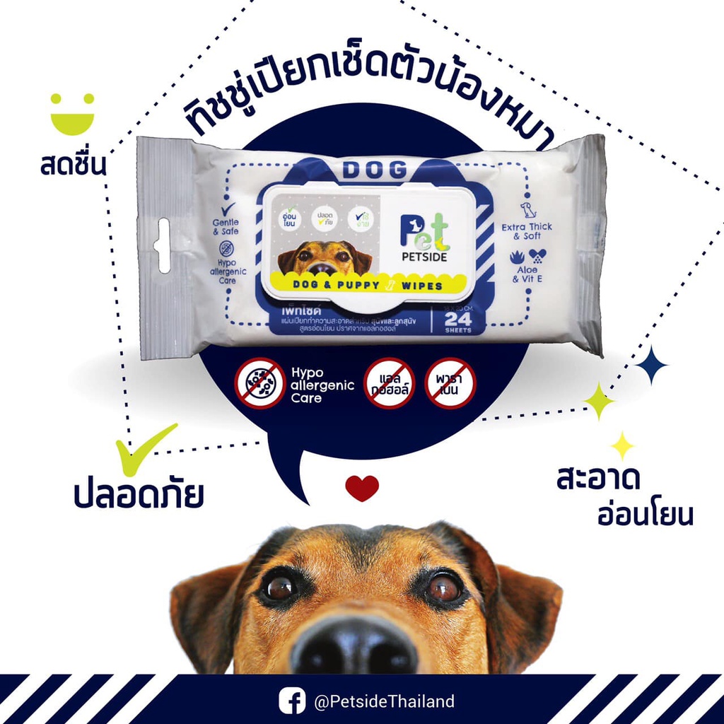 ผ้าเปียกสัตว์เลี้ยงโดยเฉพาะ-petside-ได้ทั้งลูกหมา-ลูกแมว-adult