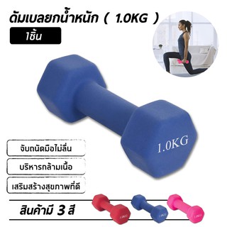 ภาพหน้าปกสินค้าดัมเบลยาง Dumbbell 1 KG ** ราคาต่อ 1 ชิ้น ** ที่เกี่ยวข้อง