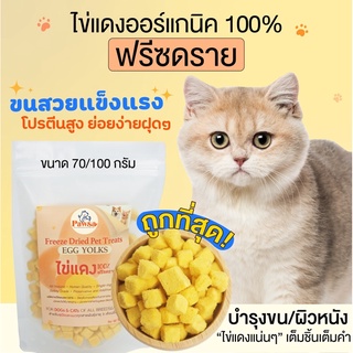 ภาพขนาดย่อของภาพหน้าปกสินค้าขนมแมว PAWSA ไข่แดงฟรีซดราย ไข่แดงอบแห้ง ขนมฟรีซดราย ขนมแมวไม่เค็ม จากร้าน pawsa_petfood บน Shopee