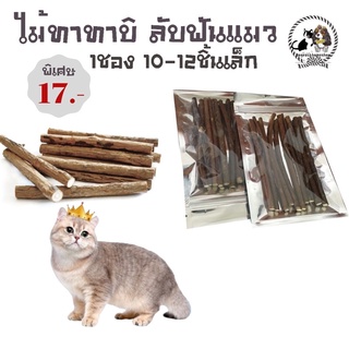 ภาพหน้าปกสินค้าไม้มาทาทาบิ ขัดฟันแมวเป็นสมุนไพรไม่อันตราย 12-15 ชิ้นราคา 17 บาท มีชำระปลายทาง ค่าส่ง22฿ ที่เกี่ยวข้อง