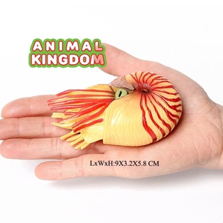 Animal Kingdom - โมเดลสัตว์ หอย นอติลอยด์ ครีมแดง ขนาด 9.50 CM (จากสงขลา)