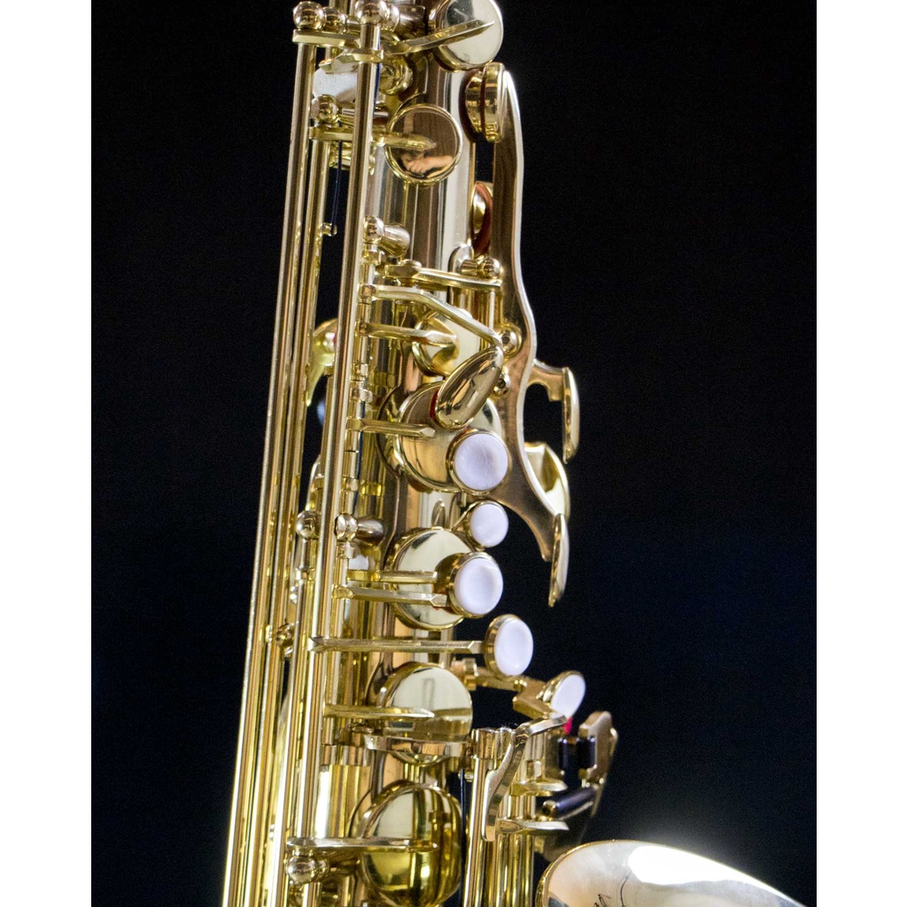 แซกโซโฟน-saxophone-coleman-standard-alto