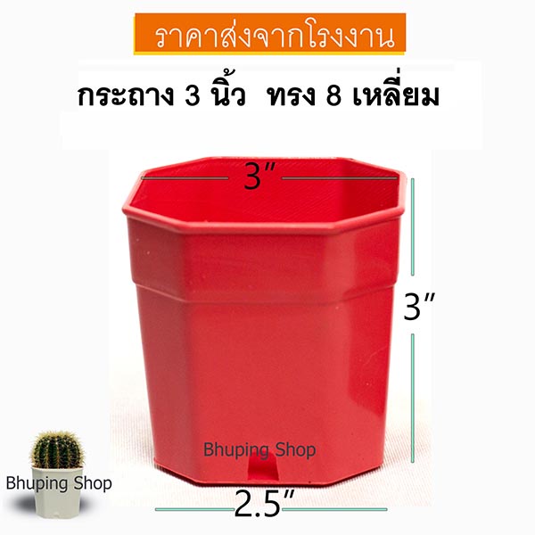 กระถางแปดเหลี่ยม-ขนาด-3นิ้ว-ชุด-25ใบ-กระถางแปดเหลี่ยม-กระถางแคคตัส-กระถางต้นไม้-กระถางไม้อวบน้ำ-หนา-ทนทาน