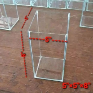 เหลี่ยมปลากัด 5"×5"×8" กระจก 3 มม.