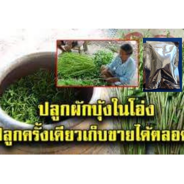 ภาพหน้าปกสินค้า3 แถม1 เมล็ดผักบุ้งแก้ว ปลูกกินง่าย ปลูกขายรวย ซื้อ 3 แถม 1 จากร้าน doungnapaprawing บน Shopee