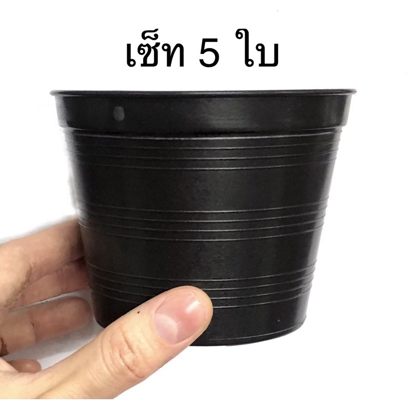 กระถางแคคตัส-กระถางกระบองเพชร-กระถางต้นไม้-ปากกว้าง-4-นิ้ว-เซ็ท-5-ใบ