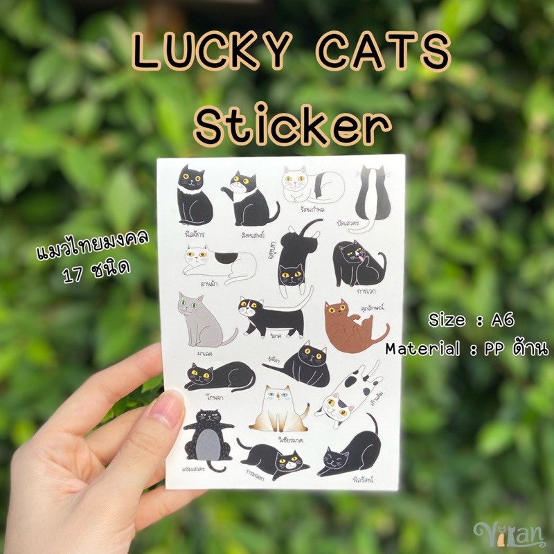 VILAN Sticker / Postcard สติกเกอร์ โปสการ์ด แมวมงคล / Lucky cats ...
