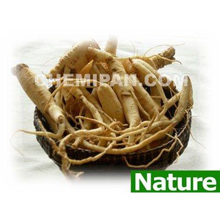 [CHEMIPAN] สารสกัด โสม (น้ำ) (Ginseng Extract) 100g.