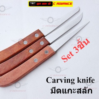 Carving knife มีดแกะสลัก 1Set 3ชิ้น มีดแกะสลักผัก Wood Carving Knife มีดแกะสลักคม ไม้ คมคม มีดแกะสลักผลไม้ มีดปอกผลไม้