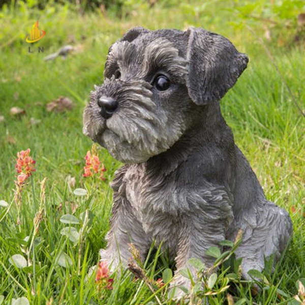 schnauzer-รูปปั้นลูกสุนัขเรซิ่น-น่ารักมาก-สําหรับตกแต่งสวน