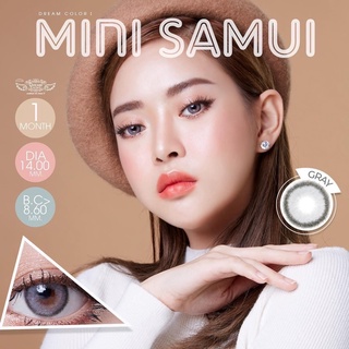 บิ๊กอาย รุ่น Mini Samui Gray สี เทา ***แฟชั่นและสายตาสั้น 💜Dreamcolor1💜