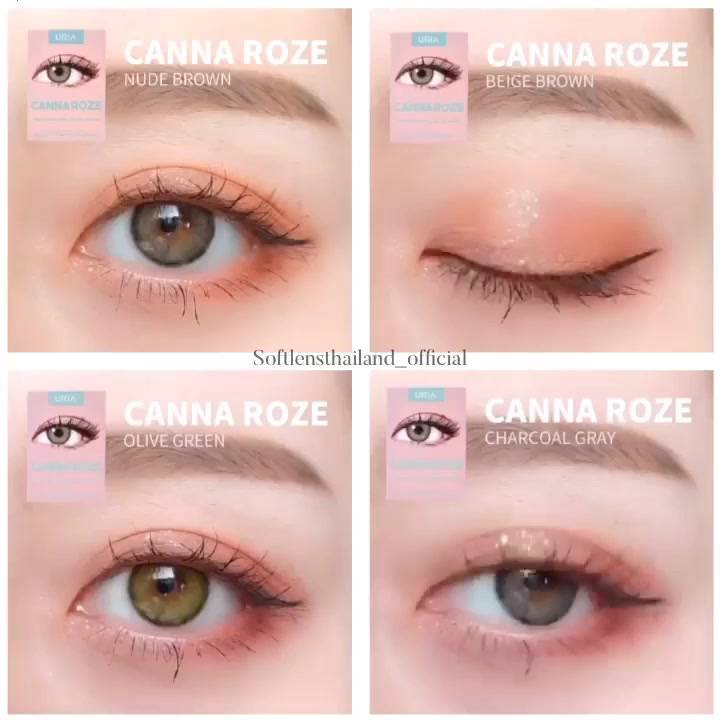 ส่งฟรีems-canna-roze-0-00-ถึง-350-การันตีส่งไวของภายในวัน-คอนเเทคเลนส์เกาหลีรายปี-idollens