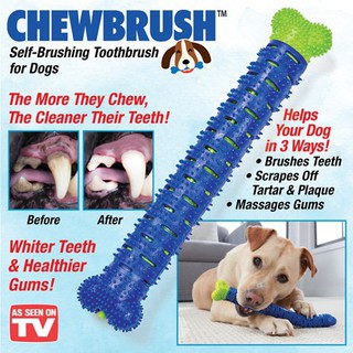 ที่ขัดฟันสุนัข ยางขัดฟัน รุ่น Chew-Brush ขัดฟันสุนัข