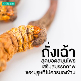 ot-plus-coffee-กาแฟ-โอ-ที-กาแฟ-สำหรับผู้ชาย-สูตรสมุนไพร-กาแฟผู้ชาย-เพิ่มพลังม้าในพลังคน-กาแฟโอที-กาแฟดี-สำหรับท่านชาย