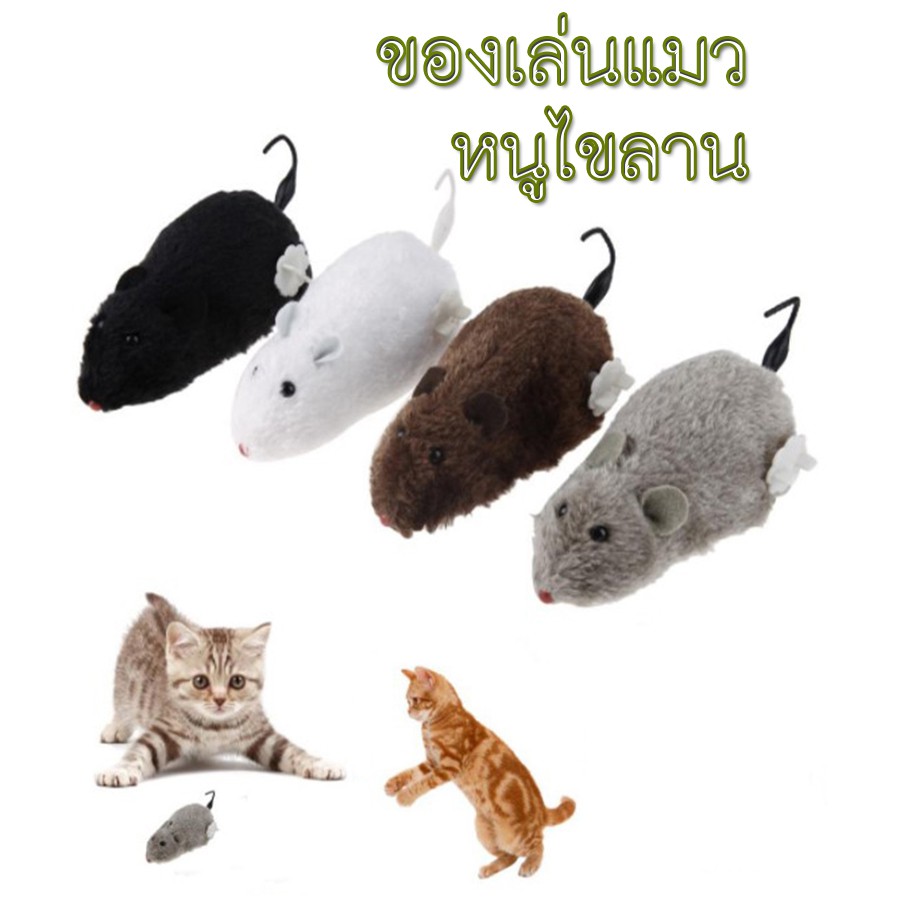 ภาพหน้าปกสินค้าAL-035 ของเล่นแมว หนูไขลาน ของเล่นสัตว์เลี้ยง หนูปลอม ของเล่นสำหรับแมว (พร้อมส่ง) จากร้าน annalouise. บน Shopee