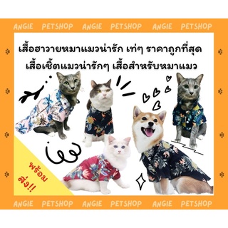 ภาพหน้าปกสินค้า[🐕พร้อมส่ง] เสื้อฮาวายหมาแมวเท่ๆ ราคาถูกที่สุด เสื้อเชิ้ตแมวน่ารักๆ เสื้อสำหรับหมาแมว ที่เกี่ยวข้อง