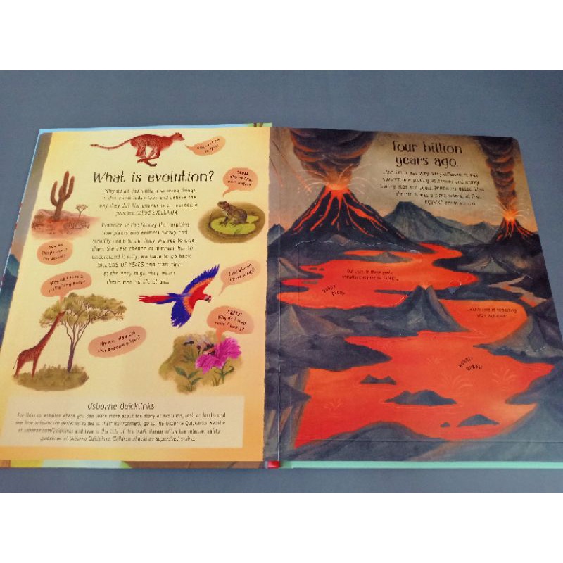 new-see-inside-evolution-boardbook-by-emily-boneillustrated-by-ana-sender