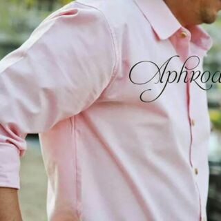 Oxford Shirt