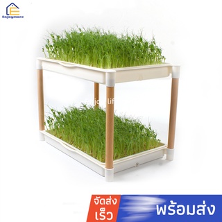 Enjoymore ชั้นปลูกถัวงอก กระถางปลูกถัวงอก กระถางเพาะถั่วนอก กระถาง2ชั้น เก็บน้ำได้