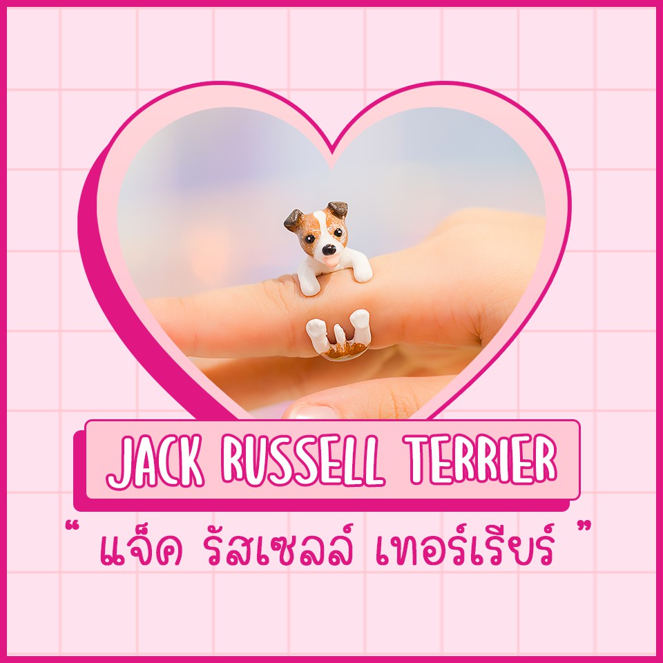 รายการ 102+ ภาพพื้นหลัง พาร์สัน รัสเซลล์ เทอร์เรียร์ สวยมาก