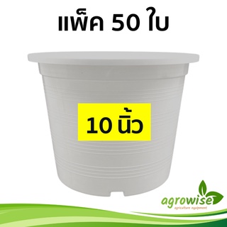 กระถางต้นไม้
 กระทางต้นไม้
 กระถางพลาสติก
 กระถางขาว สีขาว 10 นิ้ว 50 ใบ