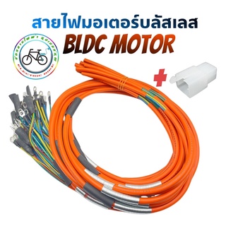 สินค้า สายไฟมอเตอร์บลัชเลสBrushless motor(bldc)