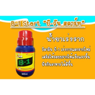 บี-1 สตาร์ท (B-1 Start) น้ำยาเร่งราก 500 cc.