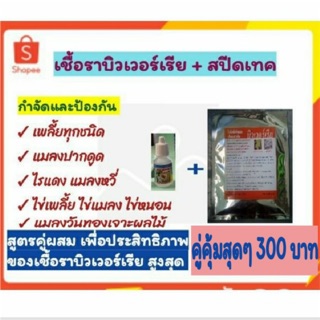 เซตคู่ บิวเวอร์เรีย+สารจับใบ+ (500กรัม+15cc.ละลายได้ 200 ลิตร) สุดยอดกำจัดเพลี้ยทุกชนิด ไรแดง แมลงหวี่ จำพวกแมลงปากดูด