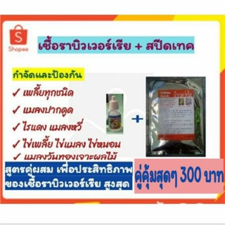 เซตคู่ บิวเวอร์เรีย+สารจับใบ+ (500กรัม+15cc.ละลายได้ 200 ลิตร) สุดยอดกำจัดเพลี้ยทุกชนิด ไรแดง แมลงหวี่ จำพวกแมลงปากดูด