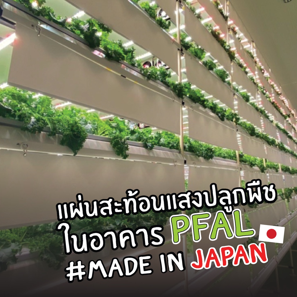 made-in-japan-reflector-แผ่นรีเฟกเตอร์-แผ่นสะท้อนแสง-แผ่นสะท้อนแสงปลูกพืชในอาคาร-สำหรับการปลูกพืช